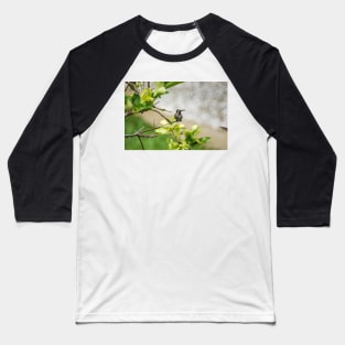 slb hummingbird Baseball T-Shirt